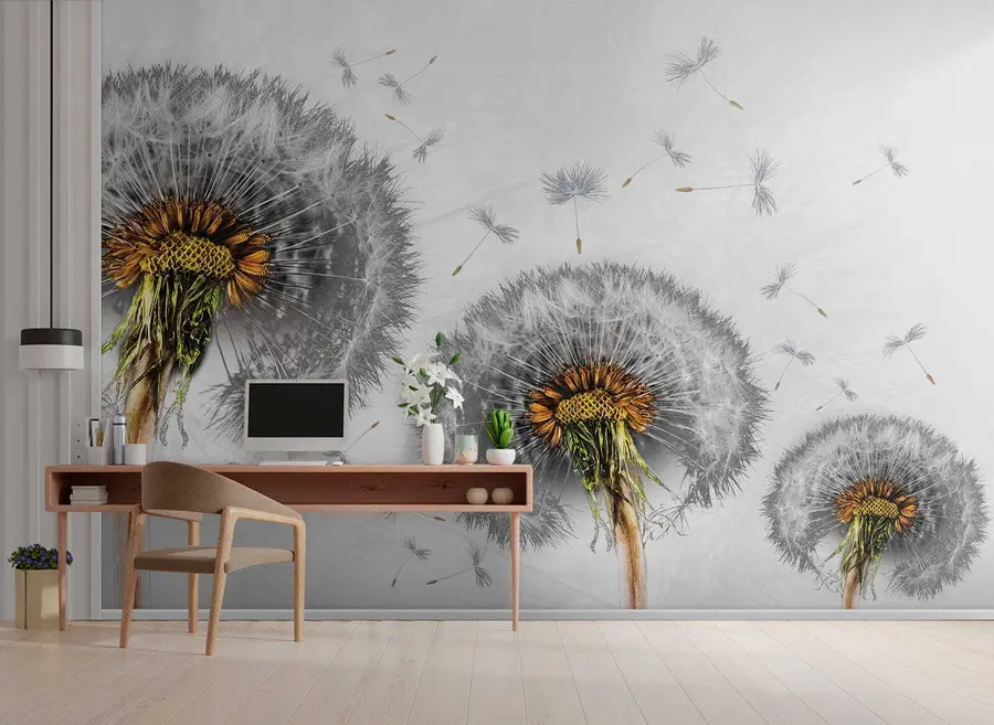 Фототапет Три глухарчета на бял фон u61442