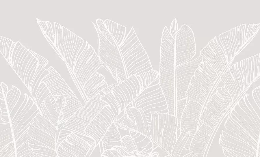 Фототапет Тропическият банан оставя новата тенденция на минимализма w08210