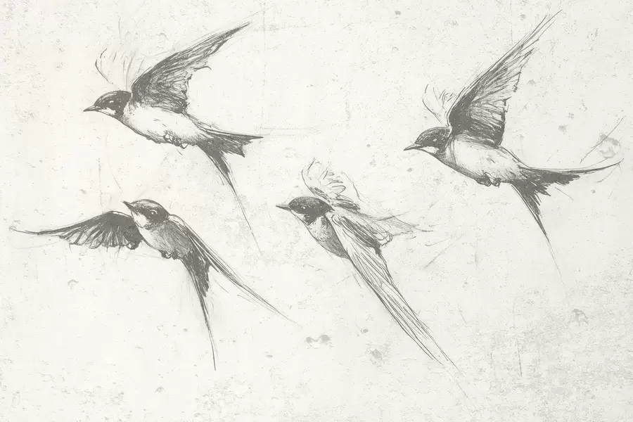 Фототапет Летящи птици, рисунка с туш, минимализъм, сиви цветове w02155