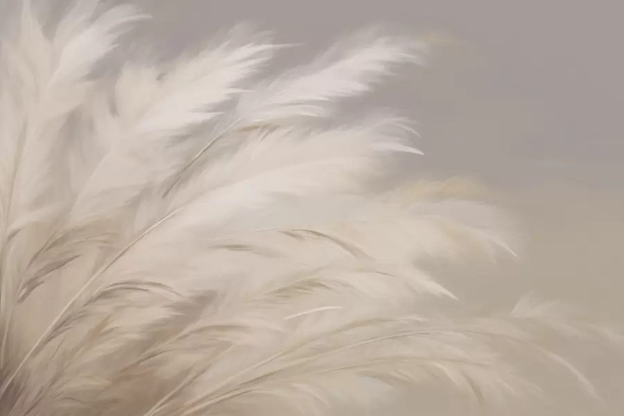 Фототапет Меки пухкави треви в бежово и сиво w03992