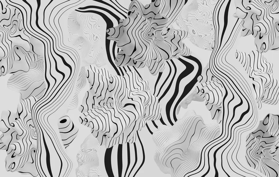 Фототапет абстрактни органични форми в 3D стил в бели и сиви тонове с черни ивици w04627