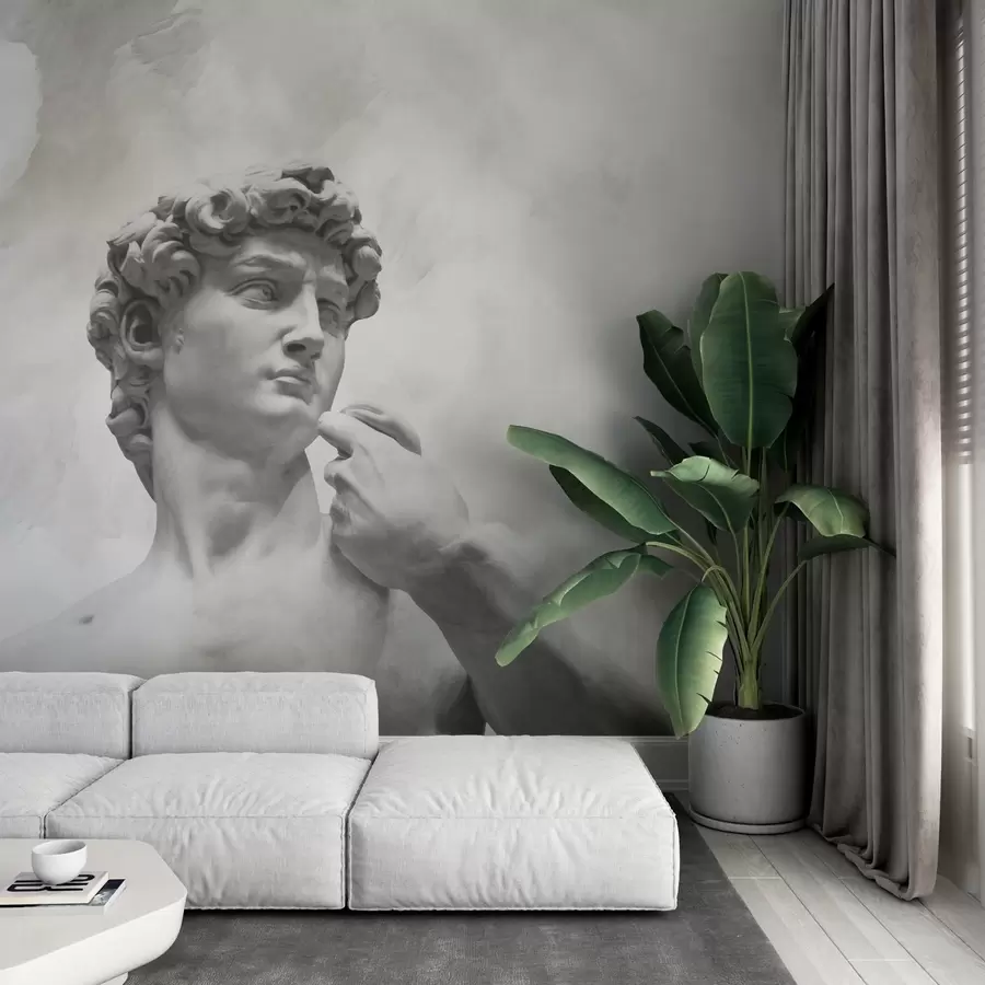 Фототапет Ренесансов дух w04767