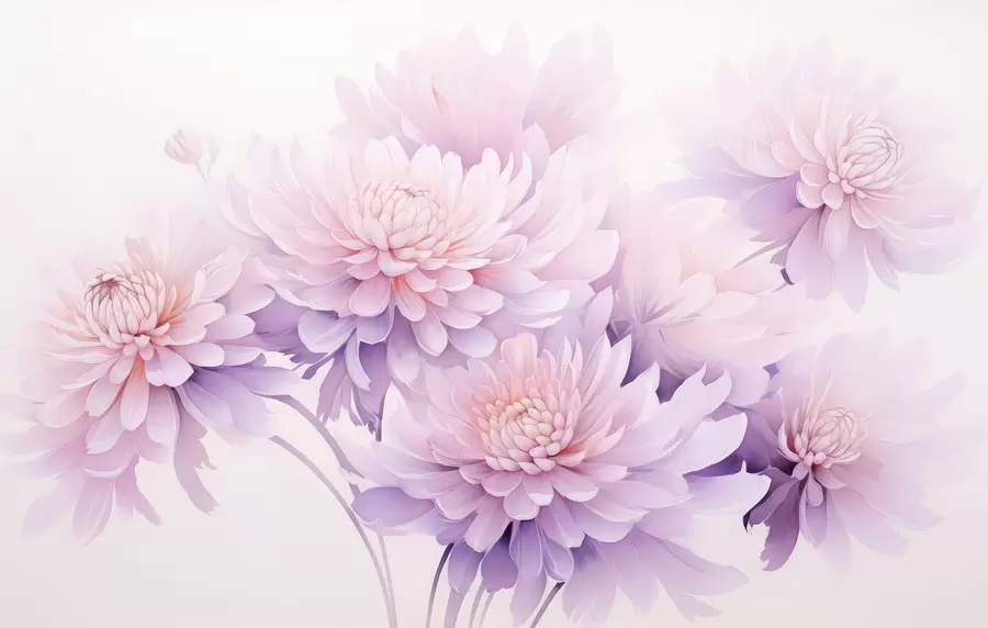 Фототапет Пъстри акварелни хризантеми на светъл фон w04832