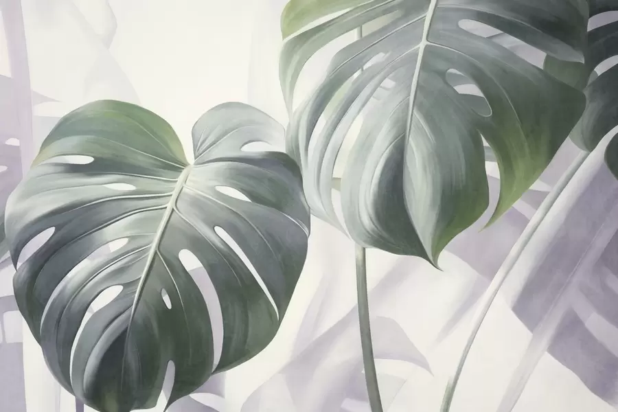 Фототапет Текстурирани листа от монстера, големи и зелени, на мек, светъл абстрактен фон w09477