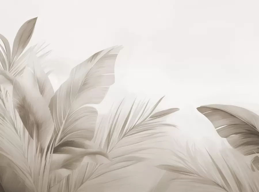 Фототапет Бананови листа, дълги листа w05377