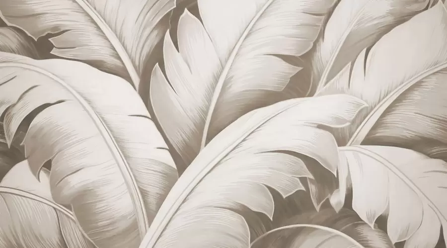 Фототапет Големи бананови листа w04991