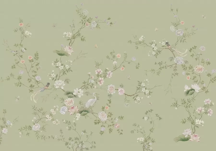 Фототапет Цъфтящи клони с птици на светлозелен фон w05416
