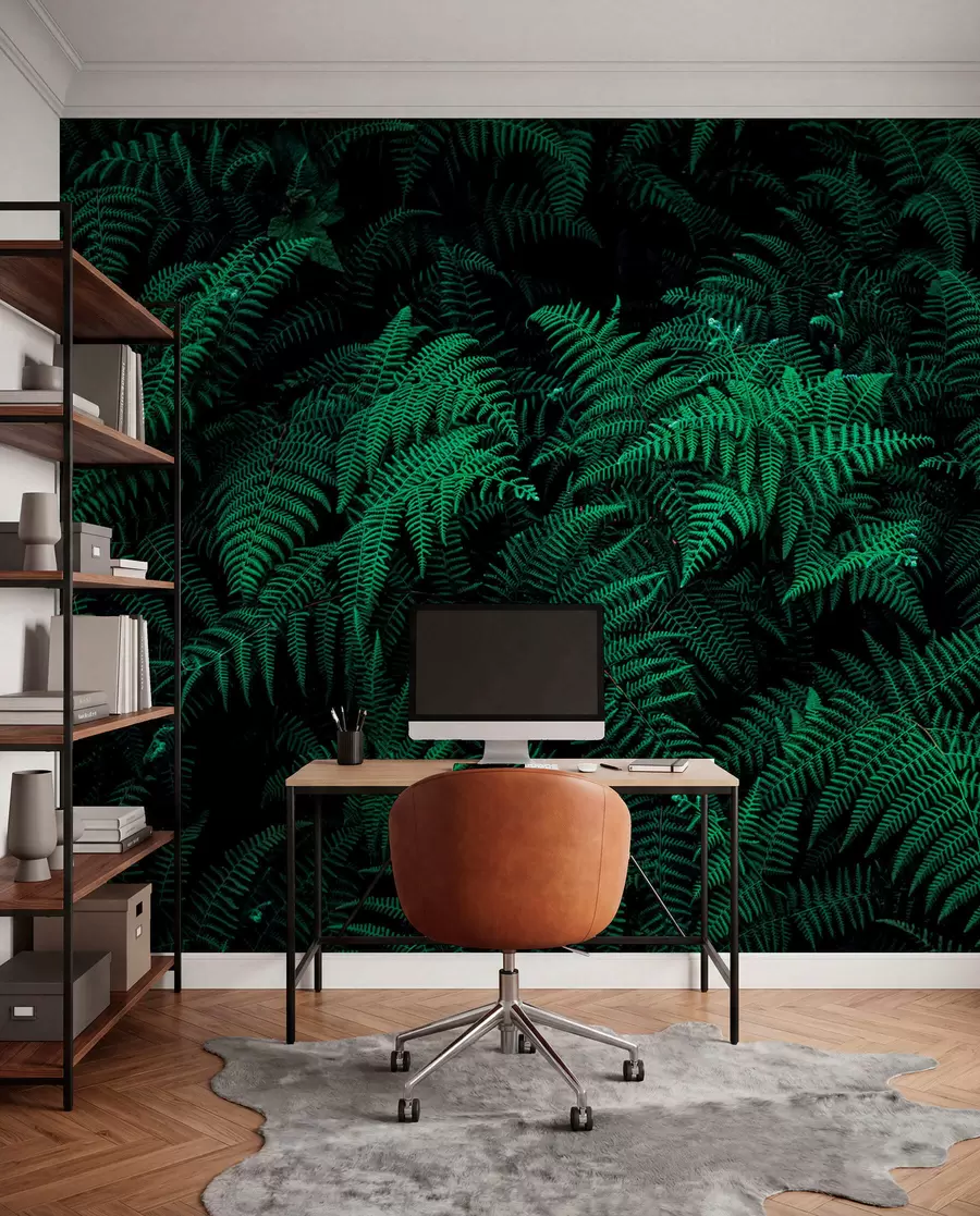 Фототапет Fern u73636