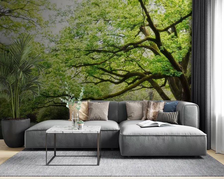 Фототапет Растителен, зелен и естествен пейзаж u55659