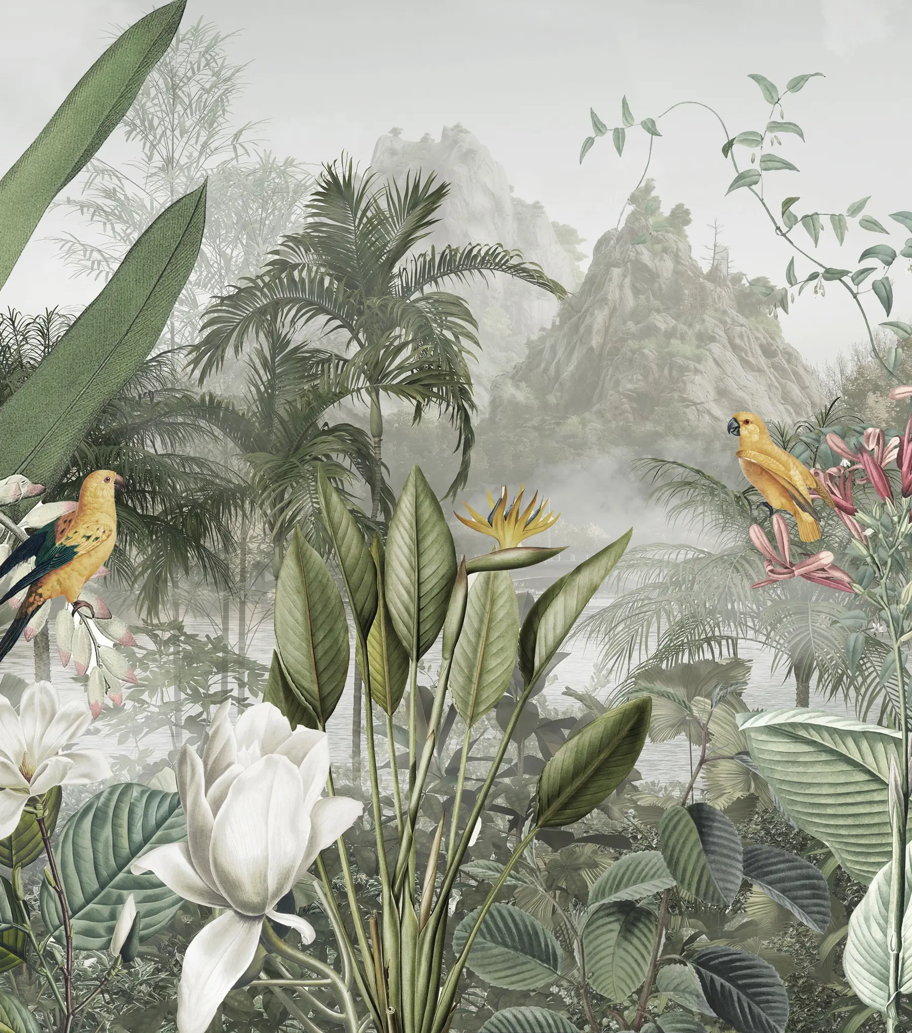 Фототапет тропическа джунгла u95396