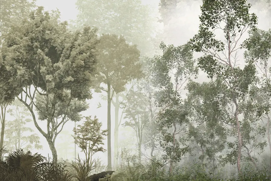 Фототапет Тропически дървета и листа в мъглива гора u97402