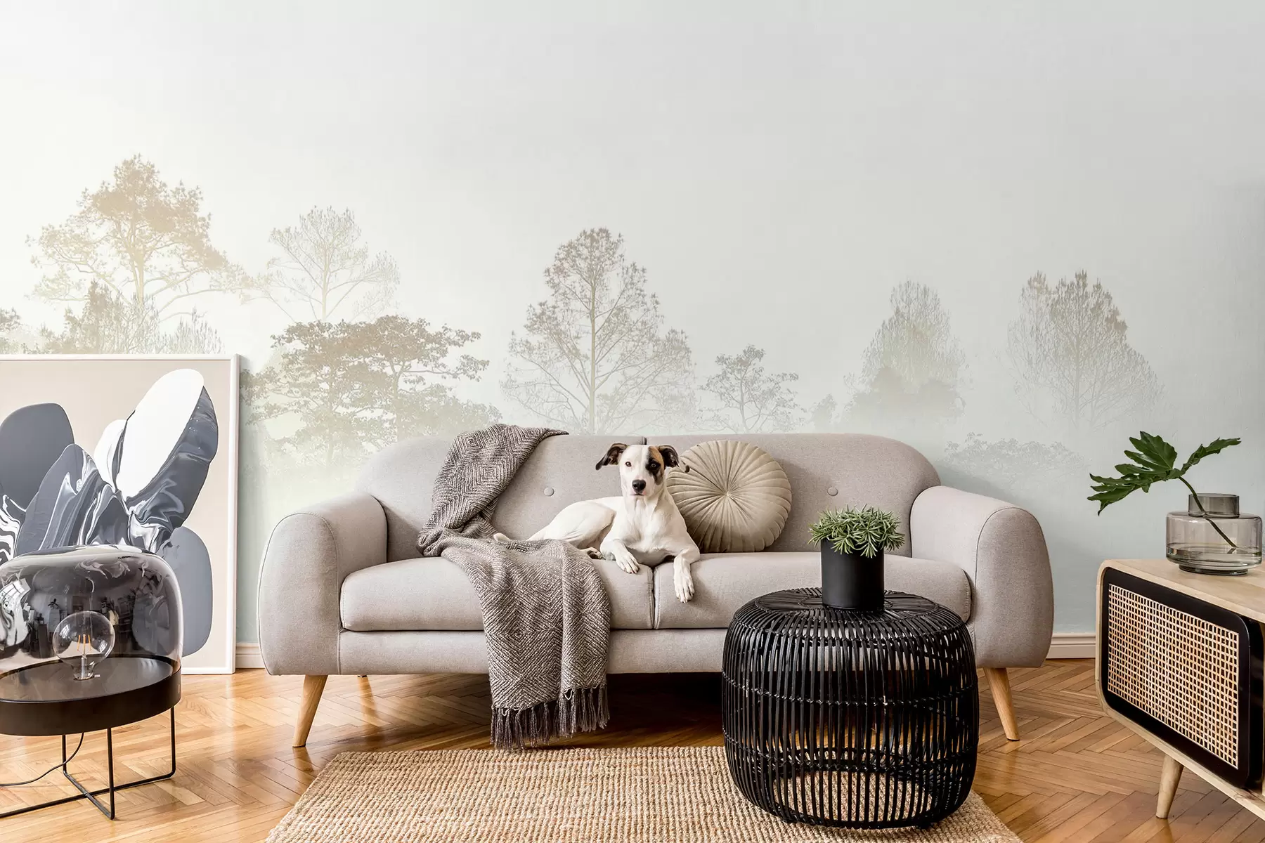 Фототапет Силует на горичка от дървета в гъстата бяла утринна мъгла u97405